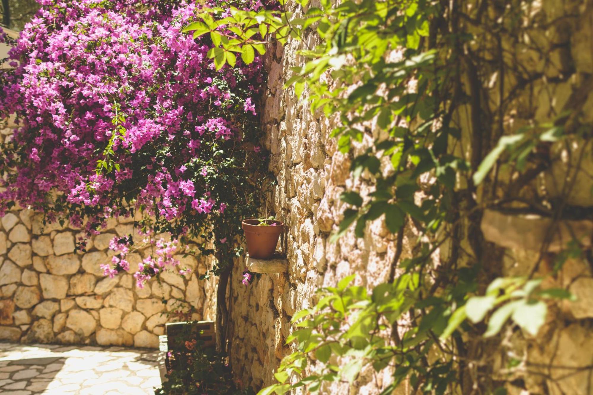 Althea Studios Lefkada Agios Nikitas Room photo